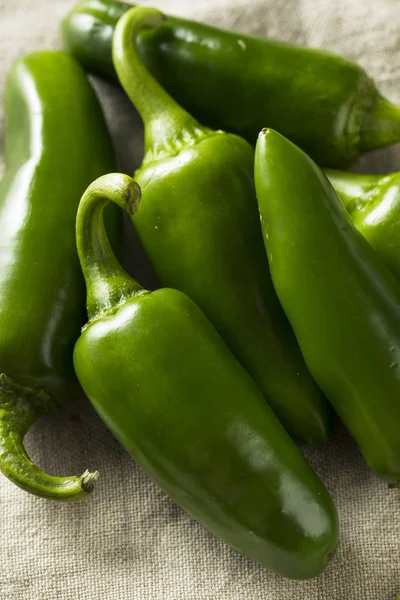 Rauwe groene biologische Jalapeno pepers — Stockfoto
