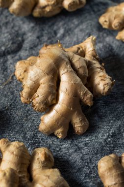 Çiğ kahverengi organik baharatlı zencefil kökü.