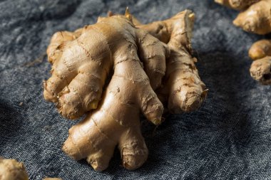 Çiğ kahverengi organik baharatlı zencefil kökü.