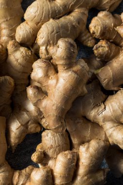 Raw Brown Organic Spicy Ginger Root clipart