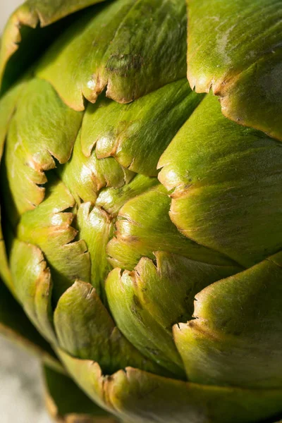 Ruwe groene biologische artisjokken — Stockfoto