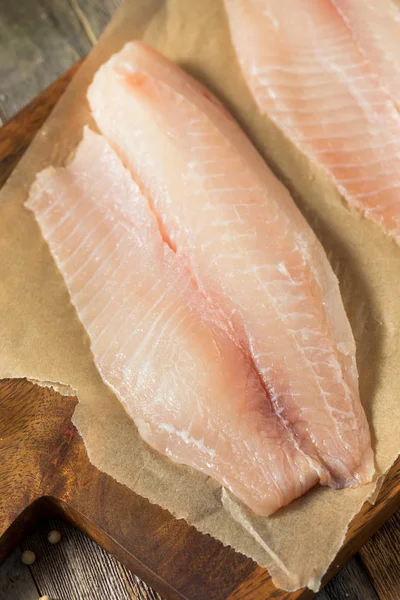 Raw White Organic Tilapia Fish — Stock Photo, Image