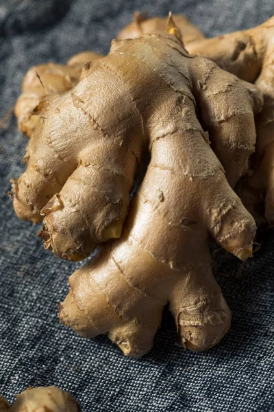 Raw Brown Organic Spicy Ginger Root — Stock Photo, Image