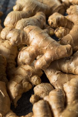Raw Brown Organic Spicy Ginger Root clipart