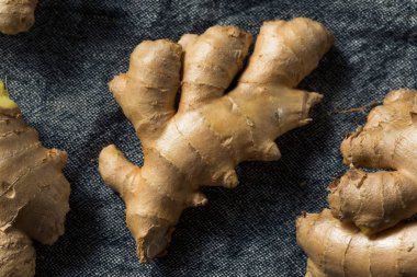 Çiğ kahverengi organik baharatlı zencefil kökü.