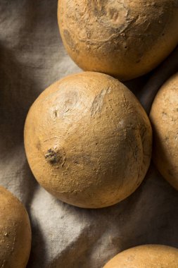 Çiğ Beyaz Organik Jicama Kökü