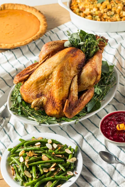 Homemade Thanksgiving Turkey Dinner with Potatoes — Stock Photo, Image