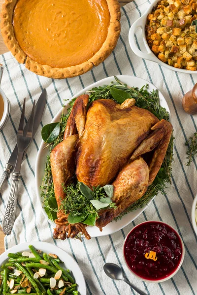 Zelfgemaakte Thanksgiving Turkije Diner met aardappelen — Stockfoto