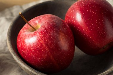Ham Kırmızı Organik Gala Elmalar