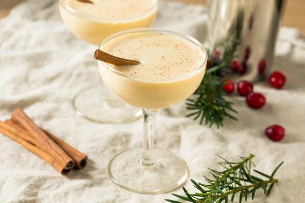 Homemade Eggnog Martini in a Glass — Stock Photo, Image