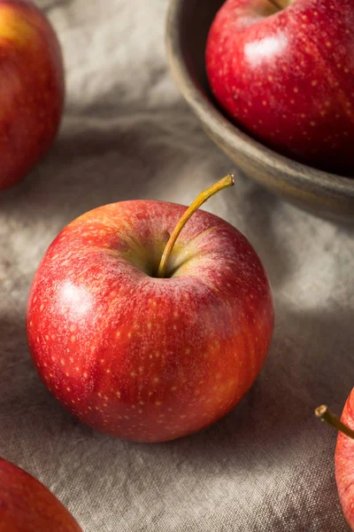 Syrové jablka z červeného organického Galu — Stock fotografie