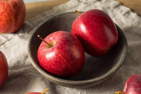 Manzanas de gala orgánicas rojas crudas — Foto de Stock