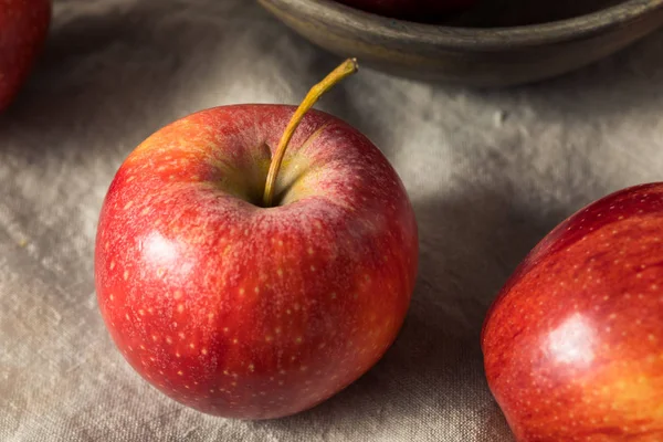 Manzanas de gala orgánicas rojas crudas — Foto de Stock