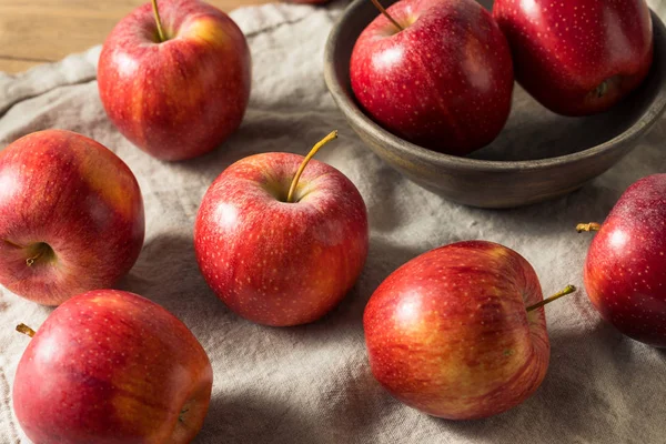 Manzanas de gala orgánicas rojas crudas — Foto de Stock