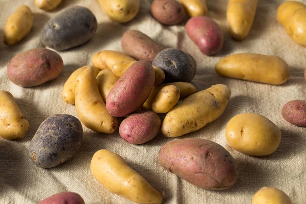 Сира органічна картопля фритюрниця — стокове фото
