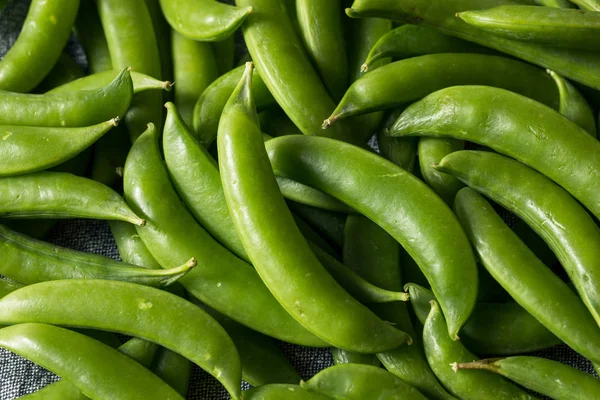 Piselli schiocco di zucchero biologico verde crudo — Foto Stock