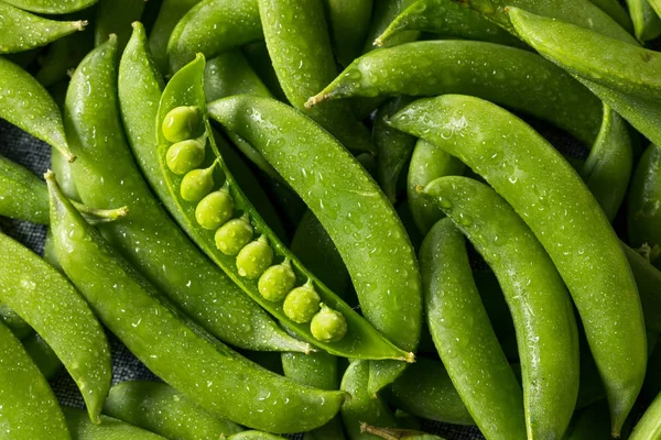 Ervilhas orgânicas verdes cruas do estalo do açúcar — Fotografia de Stock