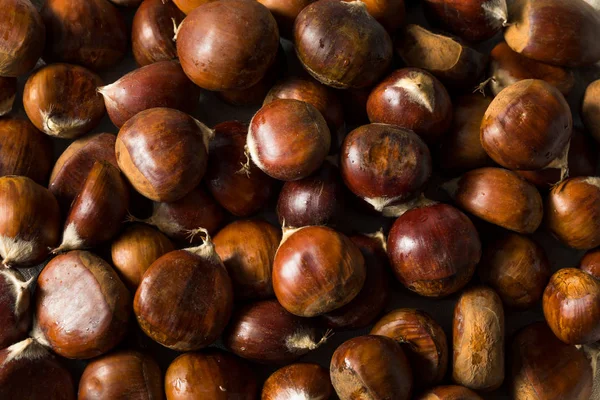 Raw Organic Brown Chestnuts — Stock Photo, Image