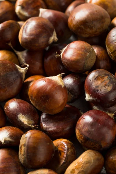 Raw Organic Brown Chestnuts — Stock Photo, Image