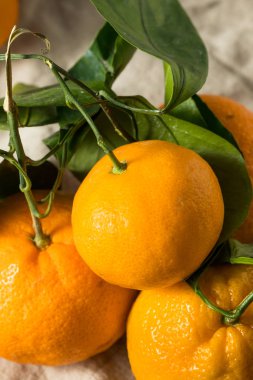 Çiğ Turuncu Organik Mandalina