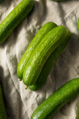 Ham yeşil organik bebek salatalık