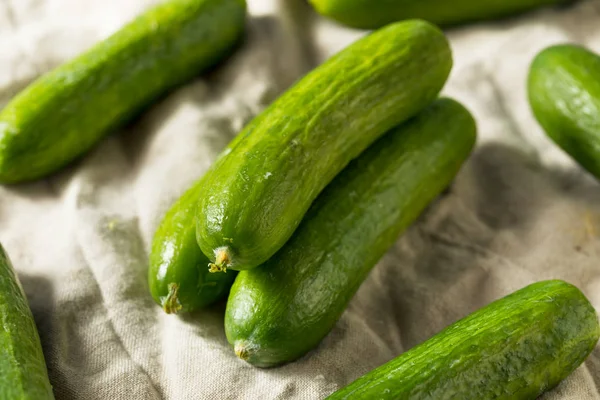 Rohe grüne Bio-Babygurken — Stockfoto