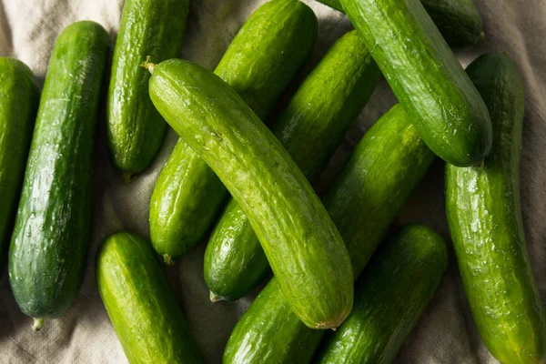 Сирі зелені органічні дитячі огірки — стокове фото