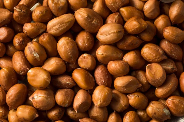 Raw Brown Organic Spanish Peanuts — Stock Photo, Image