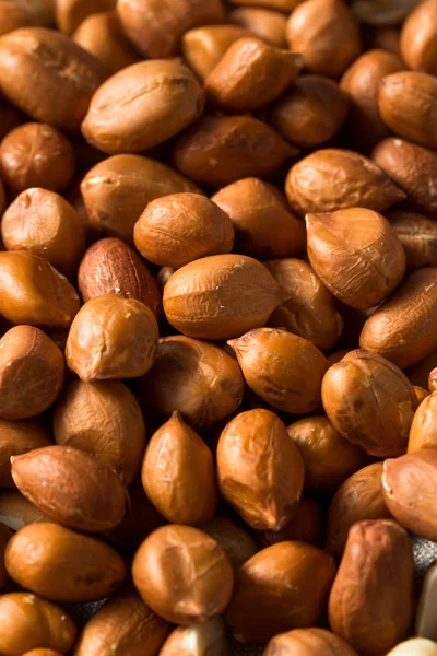 Raw Brown Organic Spanish Peanuts — Stock Photo, Image