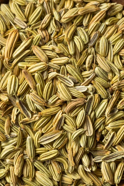 Raw Dry Organic Fennel Seeds — Stock Photo, Image