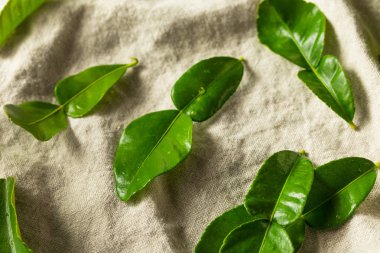 Çiğ Yeşil Organik Kafir Kireç Yaprakları