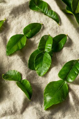 Çiğ Yeşil Organik Kafir Kireç Yaprakları