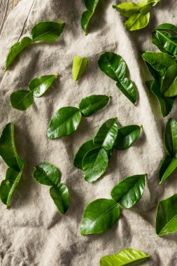 Çiğ Yeşil Organik Kafir Kireç Yaprakları