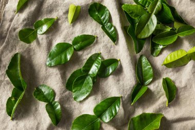 Çiğ Yeşil Organik Kafir Kireç Yaprakları