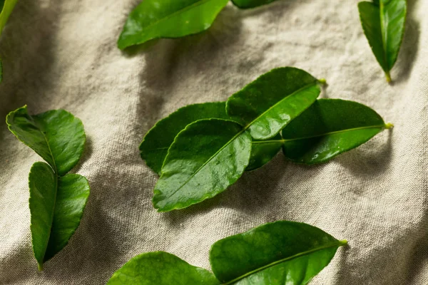 Hojas de lima de Kaffir orgánico verde crudo —  Fotos de Stock