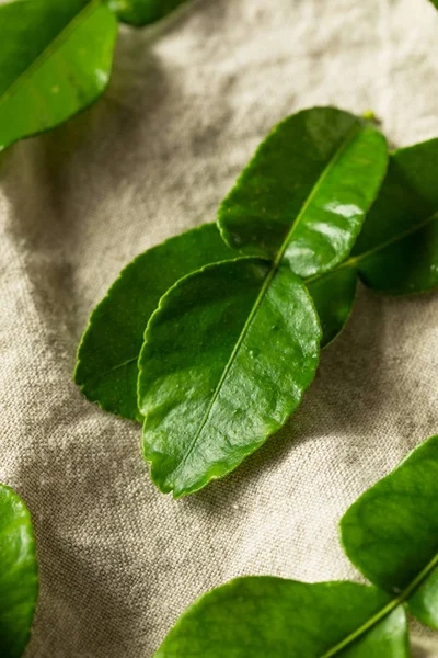 Hojas de lima de Kaffir orgánico verde crudo —  Fotos de Stock