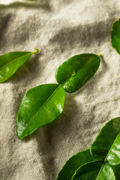 날 것인 녹색 유기농 카피어 라임 잎 — 스톡 사진