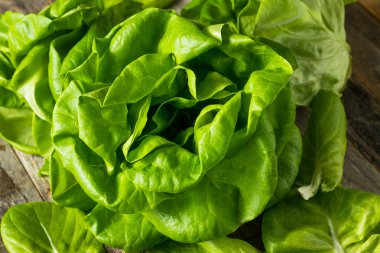 Çiğ Yeşil Organik Marul