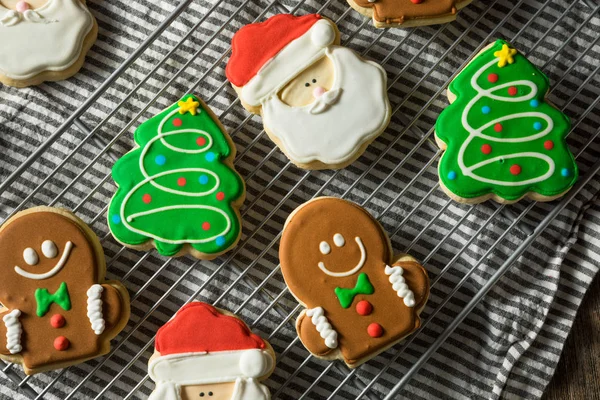 Fatto in casa decorato biscotti di zucchero di Natale — Foto Stock