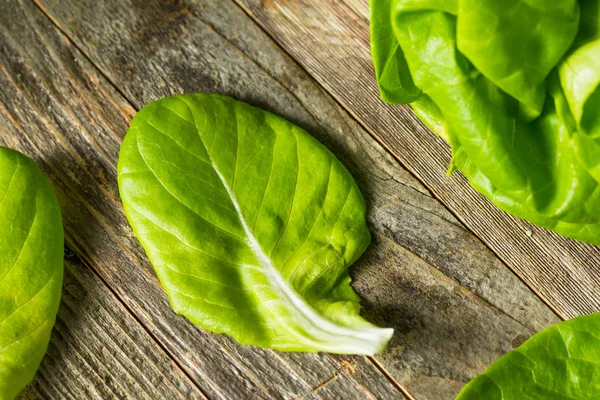 Salată verde brută cu unt organic — Fotografie, imagine de stoc