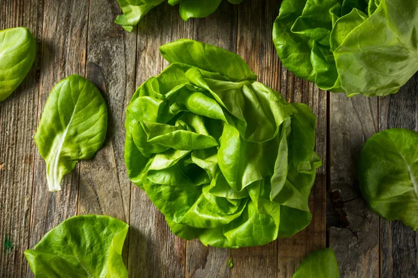 Salată verde brută cu unt organic — Fotografie, imagine de stoc