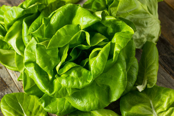 Зеленый органический салат
