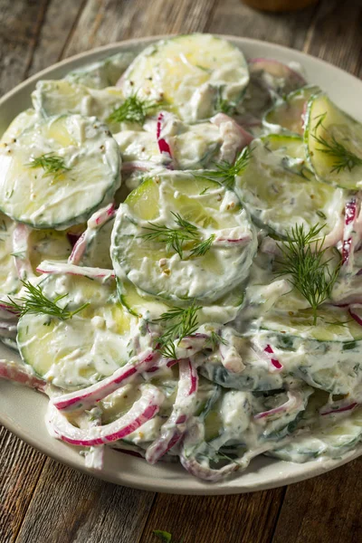 Homemade Greek Yogurt Cucumber Salad — стокове фото