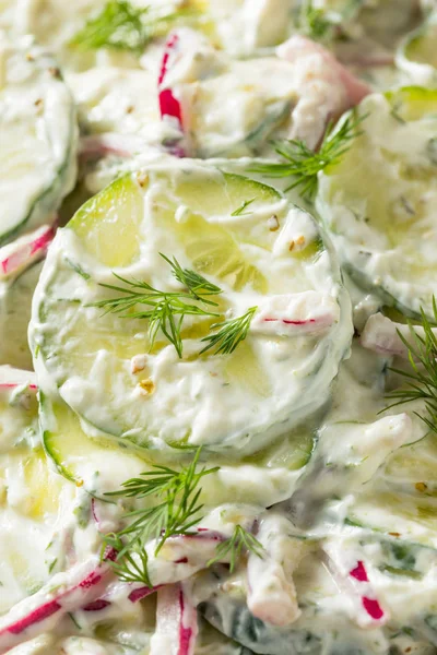 Ev yapımı Yunan yoğurdu salatalık salatası — Stok fotoğraf