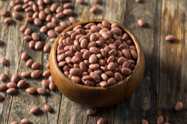 Çiğ Organik Kuru Pembe Fasulyeler