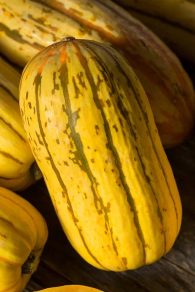 Amarelo cru orgânico Delicata Squash — Fotografia de Stock