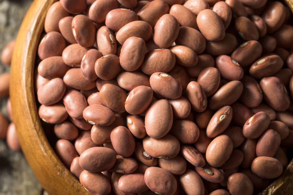 Syrové organické suché růžové fazole — Stock fotografie