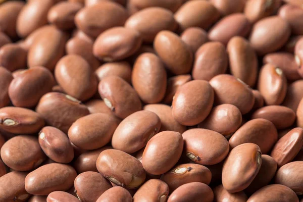 Raw Organic Dry Pink Beans — Stock Photo, Image