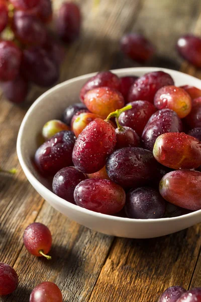 Raw Organic Purple Red Grapes — 스톡 사진