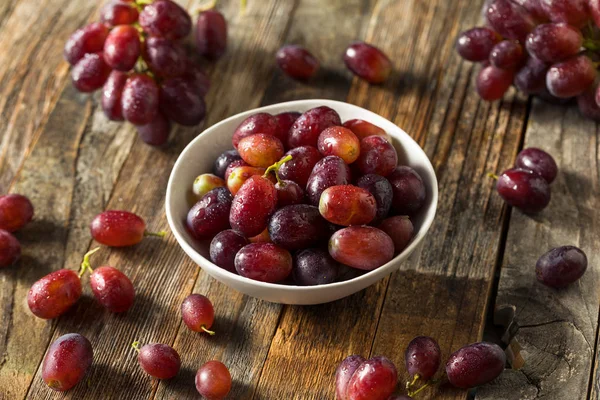 Raw Organic Purple Red Grapes — 스톡 사진